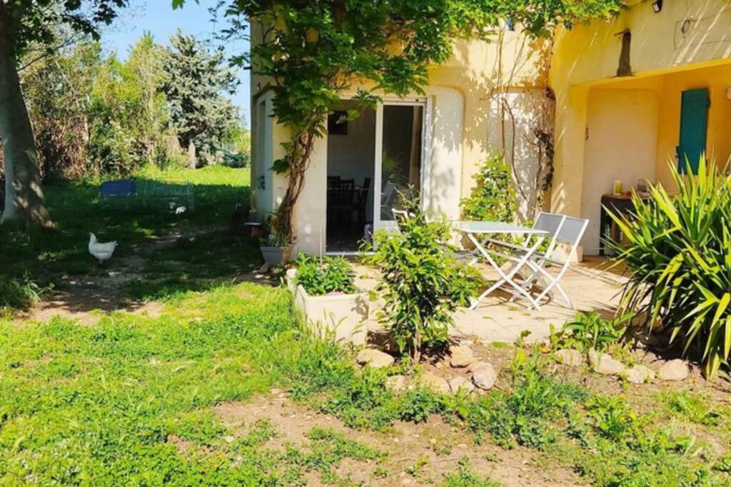 Offrez-Vous Un Sejour Dans Notre Gite A Entressen Une Grande Piscine Pour Se Rafraichir ,Un Espace De Jeux Pour Enfants Pour Des Heures De Divertissement Un Terrain De Petanque Pour Des Parties Endiablees מראה חיצוני תמונה